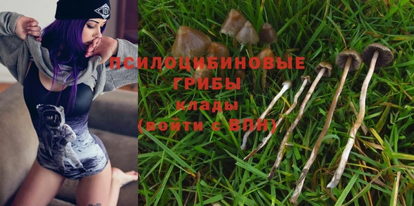 mix Гусев