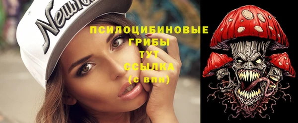 mix Гусев